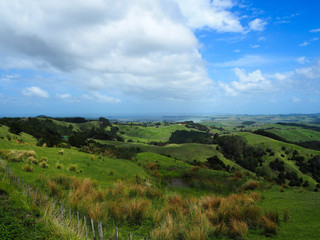 green mountain slopes with clumps of high grass in the foreground 