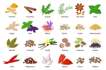 Large set of spices vector illustrations in flat design isolated on white background. Spices and herbs icons collection. - obrazy, fototapety, plakaty