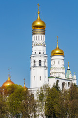 Fototapeta na wymiar Golden domes of orthodox churches of Moscow Kremlin against blue sky and green trees in sunny spring morning