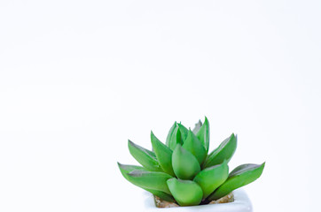 Concept object isolated from white background.