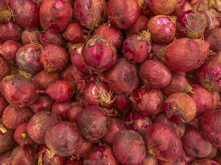 Purple onion background in pile