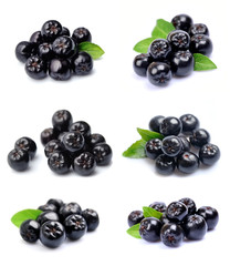 Collage of black chokeberry.