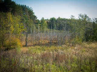 The European scenery of the hilly nature of Belarus