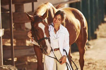 Beautiful sunlight. Female vet examining horse outdoors at the farm at daytime - Powered by Adobe