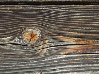Texture of old wood with knots