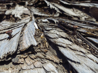 Destroyed wooden shingles on the old house. Roof made of wooden tiles