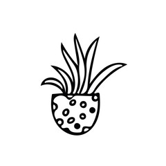 aloe plant in pot. element in hand drawn style. simple liner doodle scandinavian.