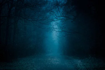 Wall murals Road in forest Blue toned mysterious road through forest among high trees. Footpath in the dark, foggy, autumnal, misty forest.