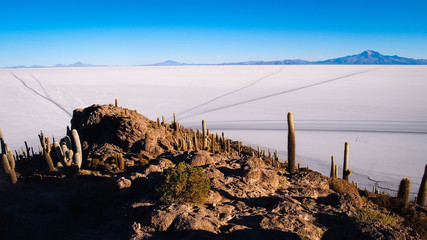 View of the salar de Uyuni from the cactus island.  you can see the trail of the roads of the cars to reach the island.