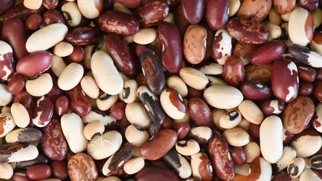 Rotating background of mixed dried beans