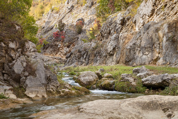 Low angle, long exposure shot of curvy mountain creek cascading through the rocky canyon and colorful, sunlit, autumn colored trees