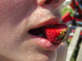 Girl eats strawberries. Red strawberries near lips