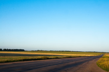 Asphalt road through the field. Green meadow.