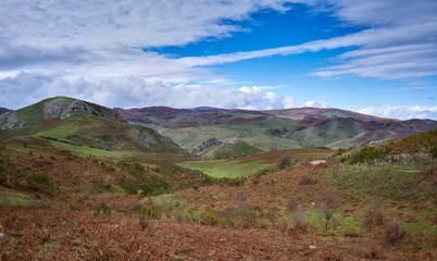 Fototapeta premium Altopiani sui monti nebrodi, zone di pascolo
