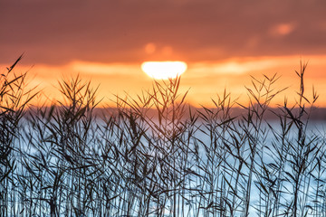 Obrazy na Szkle  wschód słońca nad morzem
