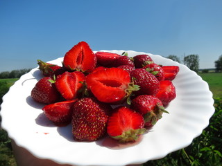 Background of whole strawberries in white plate close up on nature background with blue sky