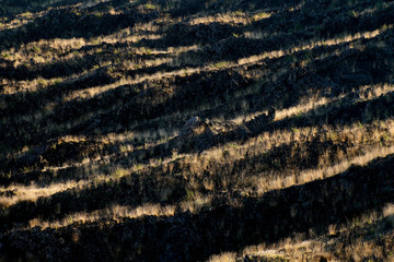 La luce radente del tramonto sulla colata lavica