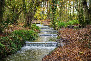 A series of small cataracts, Tehidy Woods, Cornwall, in autumn