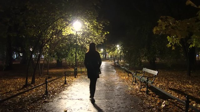 Woman walks at night in an autumn park in Krakow with lighting post and fallen   yellow foliage at sides (4K, 25fps)