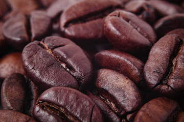 Close up with small depth of field of pile of roasted coffee beans. Concept of fragrant coffee.