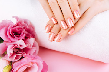 Beautiful Woman Hands with fresh eustoma. Spa and Manicure concept. Female hands with pink manicure. Soft skin, skincare concept. Beauty nails. Over beige background