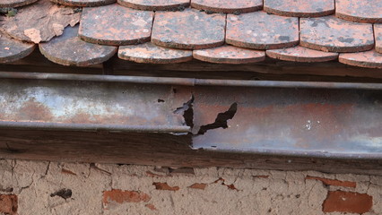 Badly damaged rain gutter on old tile roof