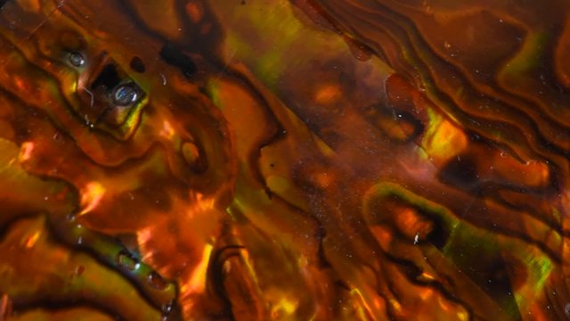 Background of rotating brown paua veneer 