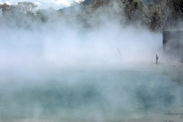 Rotorua Neuseeland heiße Quellen 