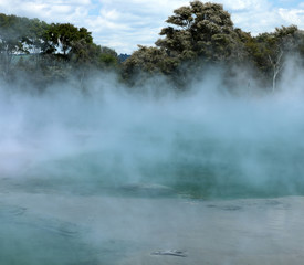 Rotorua Neuseeland heiße Quellen 
