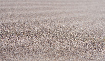 Grains of sand close-up shot.