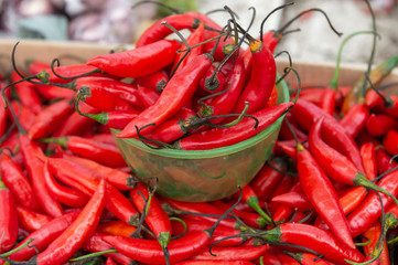 Fresh ripe chili pepper spread all over