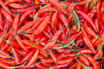 Fresh ripe chili pepper spread all over