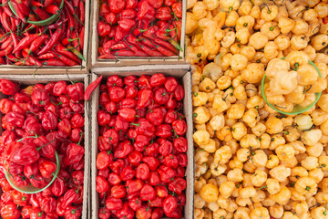 Fresh ripe chili, yellow and red bell pepper