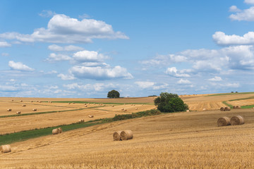 rural landscape with bales of hay