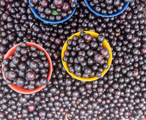 Baskets with jabuticaba. Street market with Brazilian fruit.