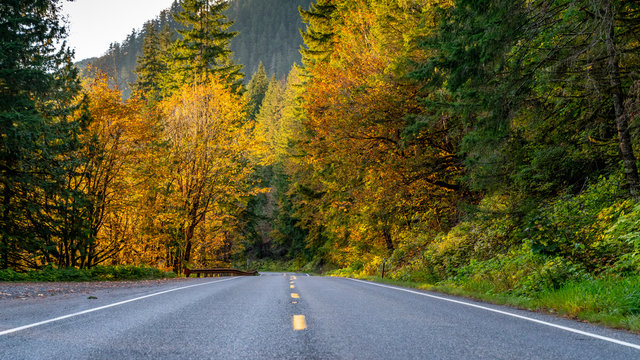 Mountain road surrounded by trees with autumnal colors in Liberty, Washington, USA