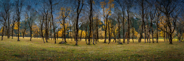 Autumn panorama in the Eng-Alm in Tyrol with yellow maple trees