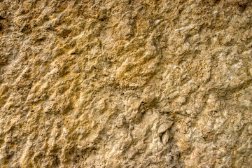 Yellow Sandstone texture close up