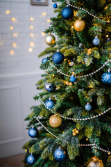 Dressed up Christmas tree. Gold and blue Christmas tree decorations for Christmas.