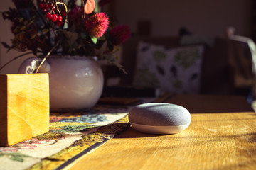 voice controlled smart speaker in a interior home environment. Smart home ai concept