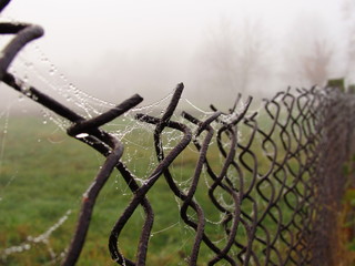 Fototapeta premium fence and barbed wire