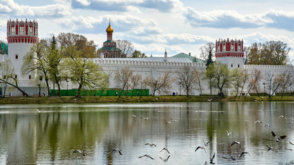 Fototapeta premium Russia. Moscow in the spring. Walls and towers of the Novodevichy Convent and a dove flock over the Great Novodevichy Pond