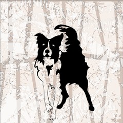 Silhouette of funny playful little puppy. border collie