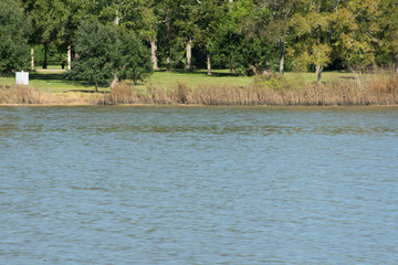 Clear Lake City Park - Texas