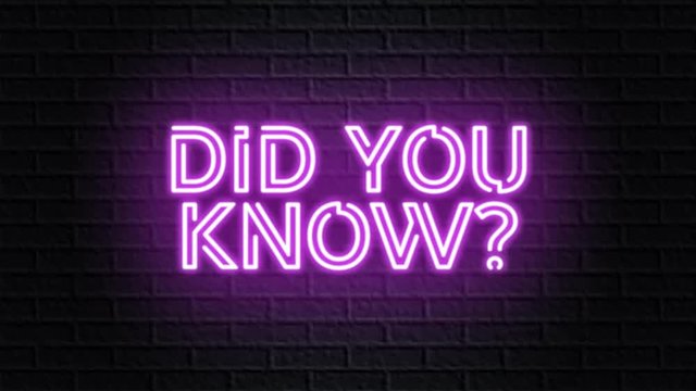 violet neon video animation did you know