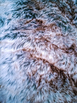 Texture of shaggy fur