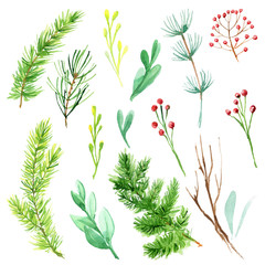 Spruce branches pine leaves berries tree Christmas decoration green watercolor isolated set