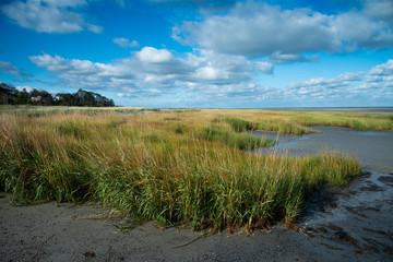 Marshy costal area at low tide on Cape Cod north shore