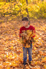 teenager boy stands thoughtfully on fallen leaves, holding in his hands a lot of yellow leaves.