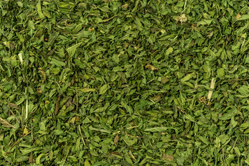 healthy green flatlay of mint 